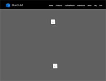 Tablet Screenshot of bluecubit.com